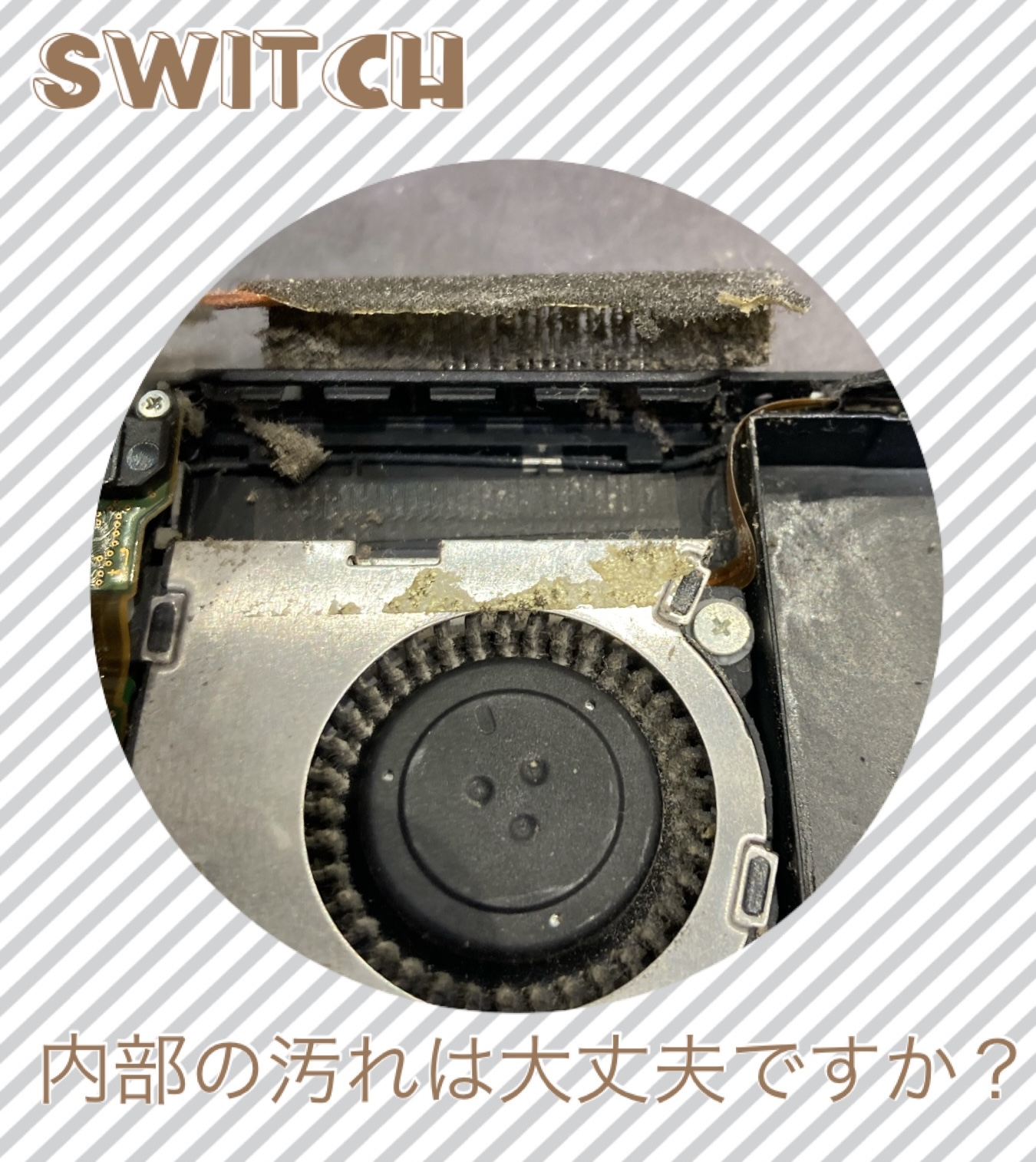 Switch 内部汚れ 放置してませんか？