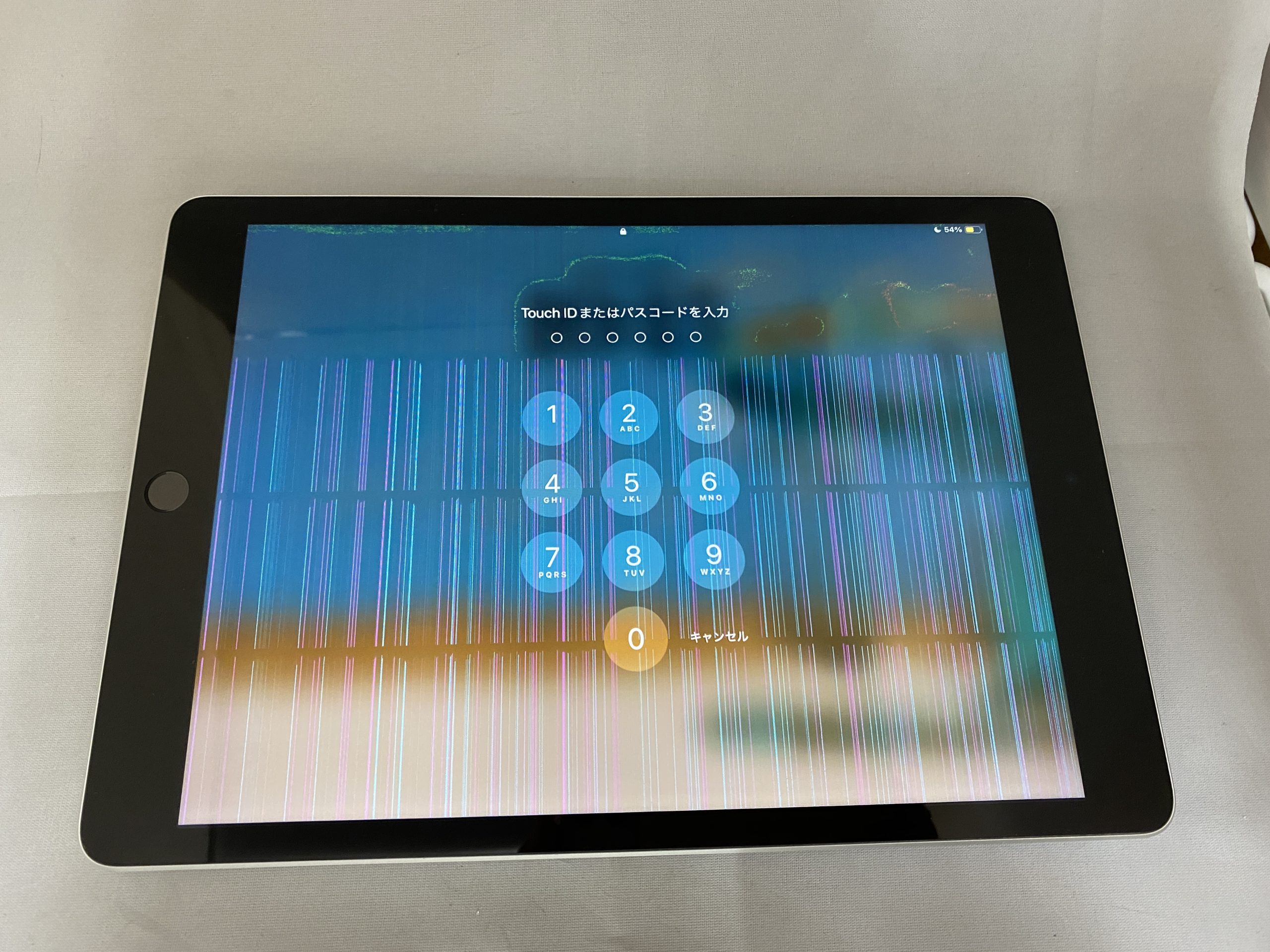 iPad 9世代 液晶に無数の縦線が入っている！？ 修理のご依頼