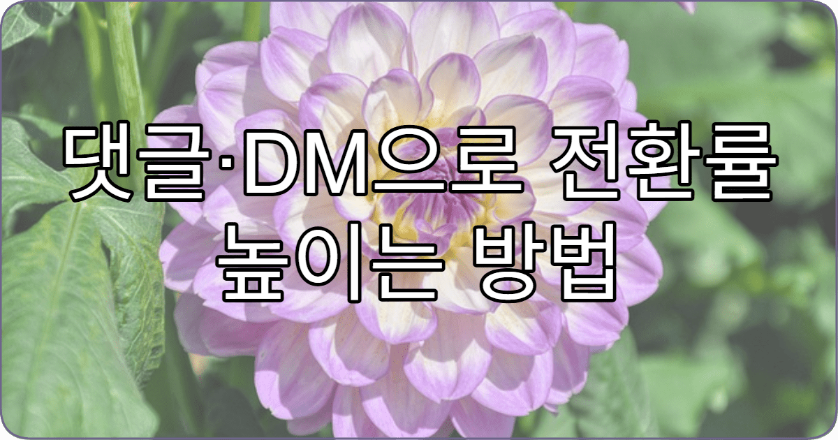 댓글·DM으로 전환률 높이는 방법