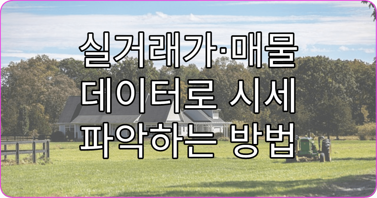 실거래가·매물 데이터로 시세 파악하는 방법