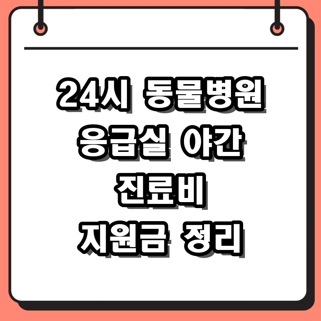 24시 동물병원 응급실 야간 진료비 지원금 정리