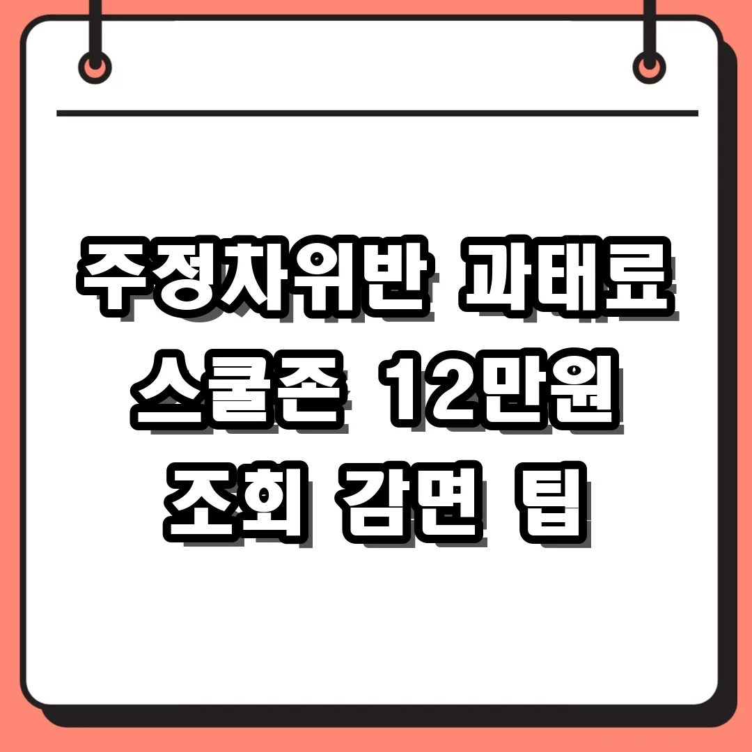 주정차위반 과태료 스쿨존 12만원 조회 감면 팁