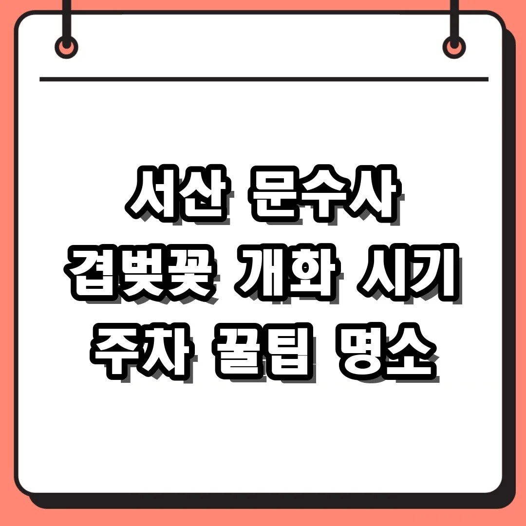 서산 문수사 겹벚꽃 개화시기 주차 명당 및 2026 실시간 방문 팁