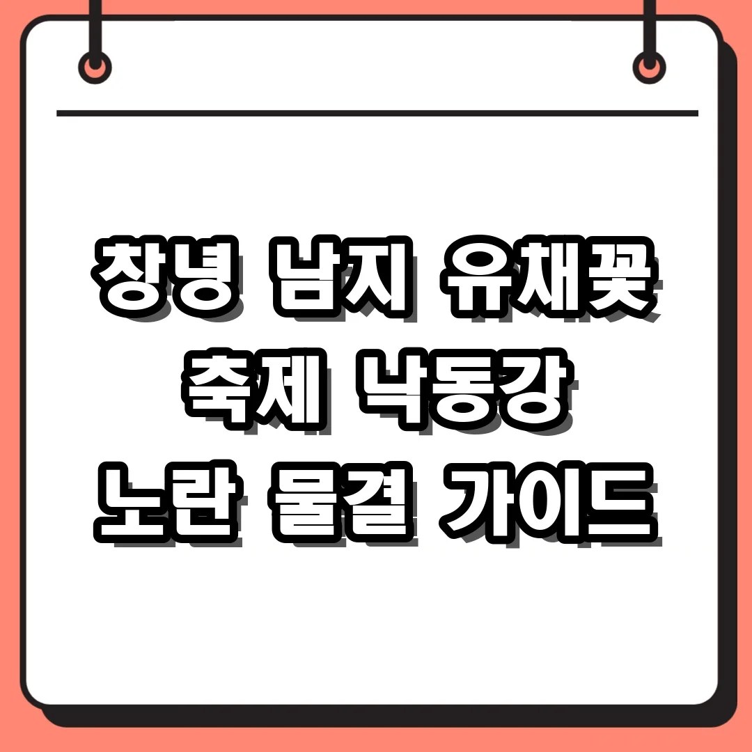 창녕 남지 유채꽃 축제 2026 낙동강변 33만 평 노란 물결 방문 후기