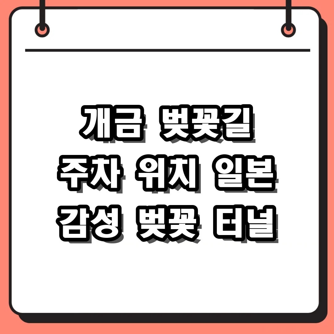개금 벚꽃길 주차 위치 일본 감성 벚꽃 터널