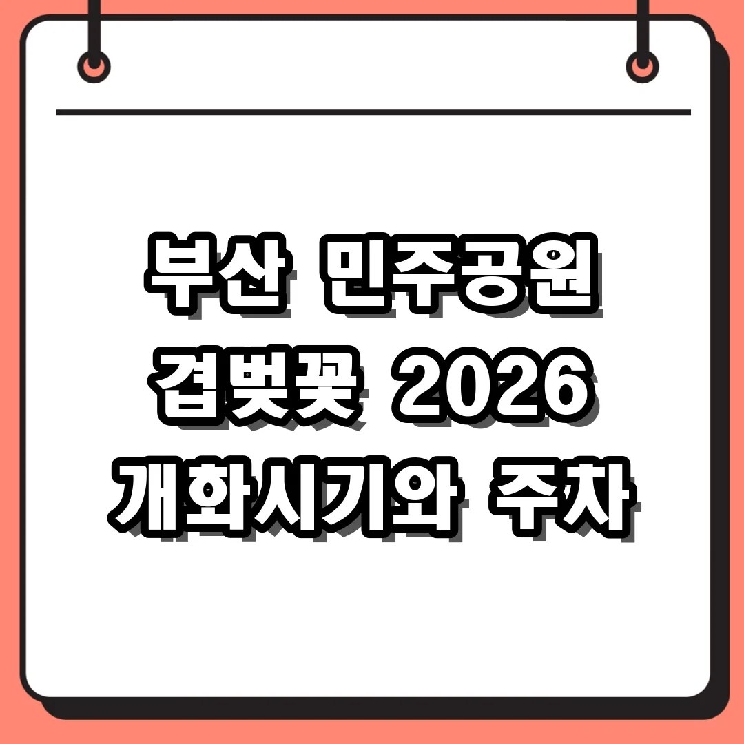 부산 민주공원 겹벚꽃 개화시기와 2026년 주차장 방문 꿀팁