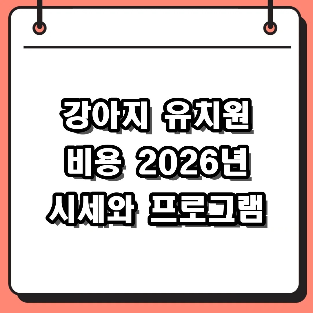 강아지 유치원 비용 2026년 시세와 프로그램