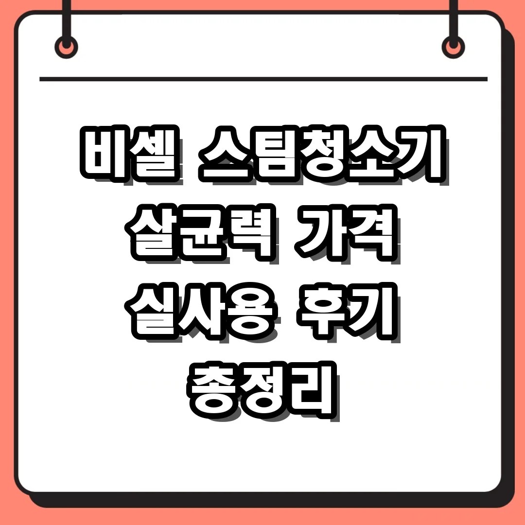 비셀 스팀청소기 살균력 가격 실사용 후기 총정리