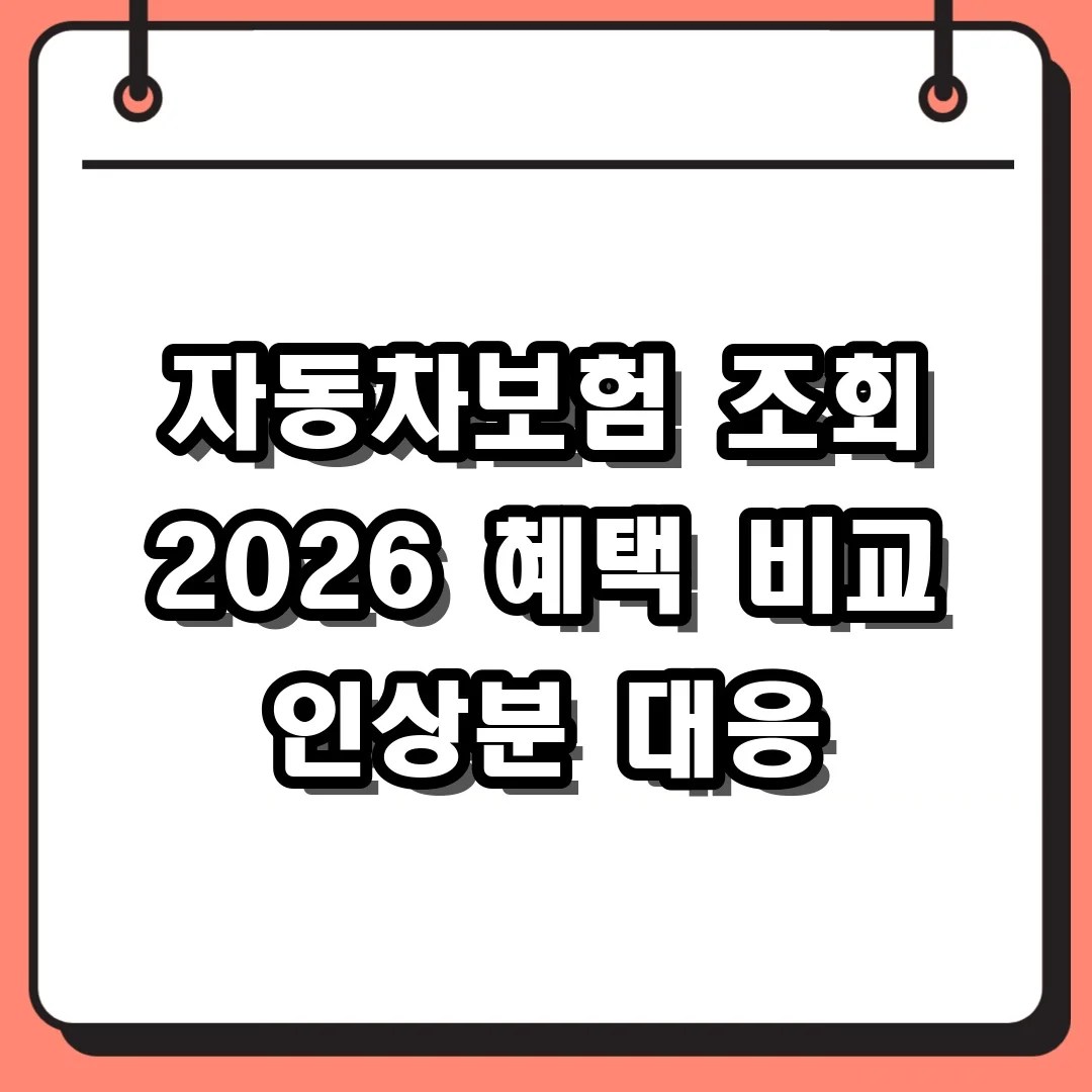 자동차보험 조회 2026 혜택 비교 인상분 대응