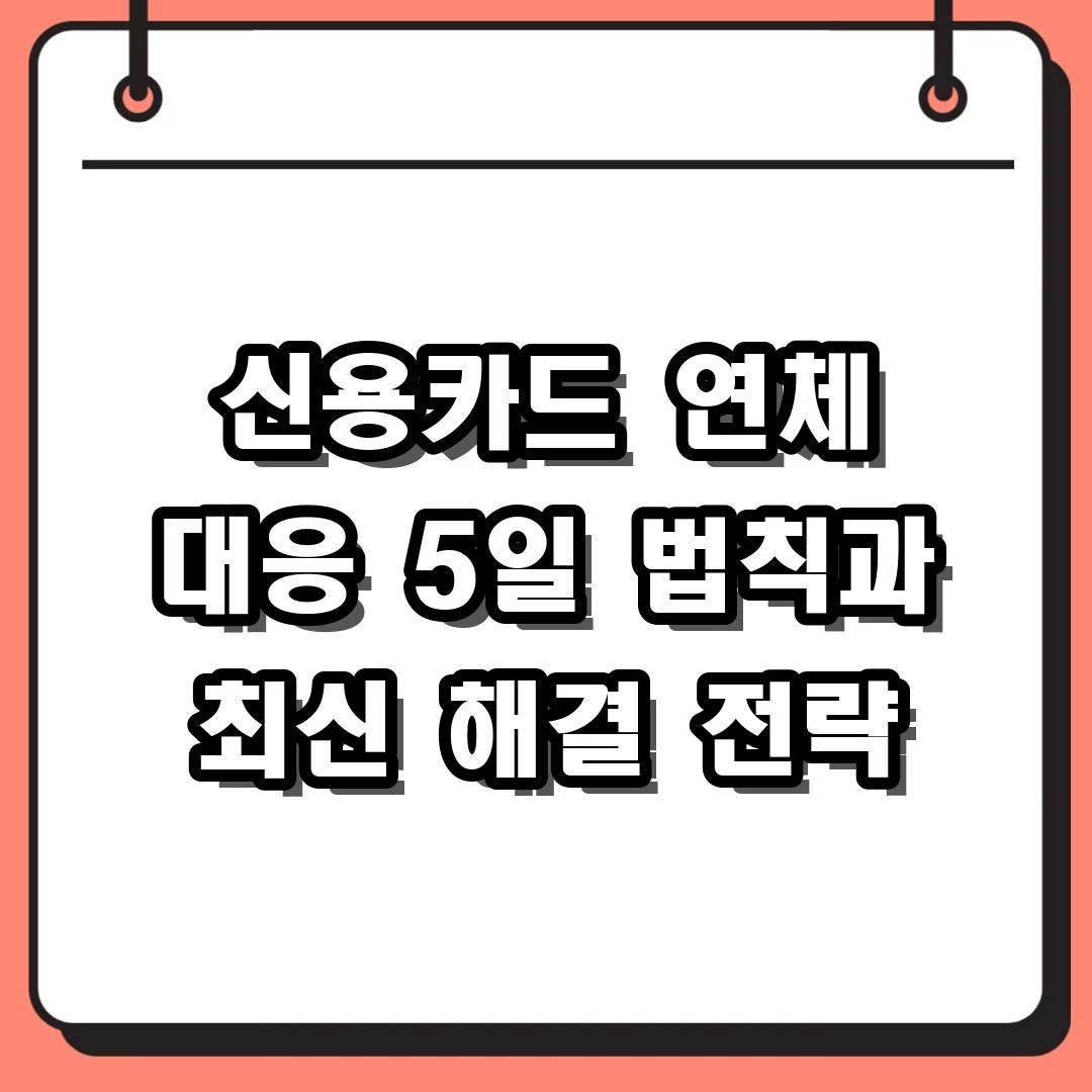 신용카드 연체 대응 5일 법칙과 최신 해결 전략