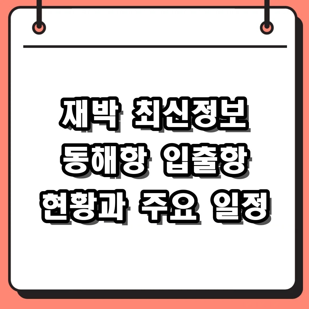 재박 최신정보 동해항 입출항 현황과 주요 일정
