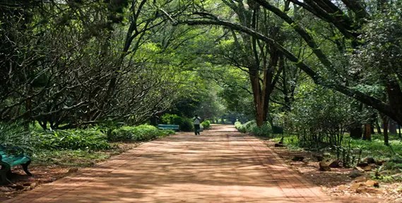 Best places to visit in Nairobi in 2021 Smart Explora