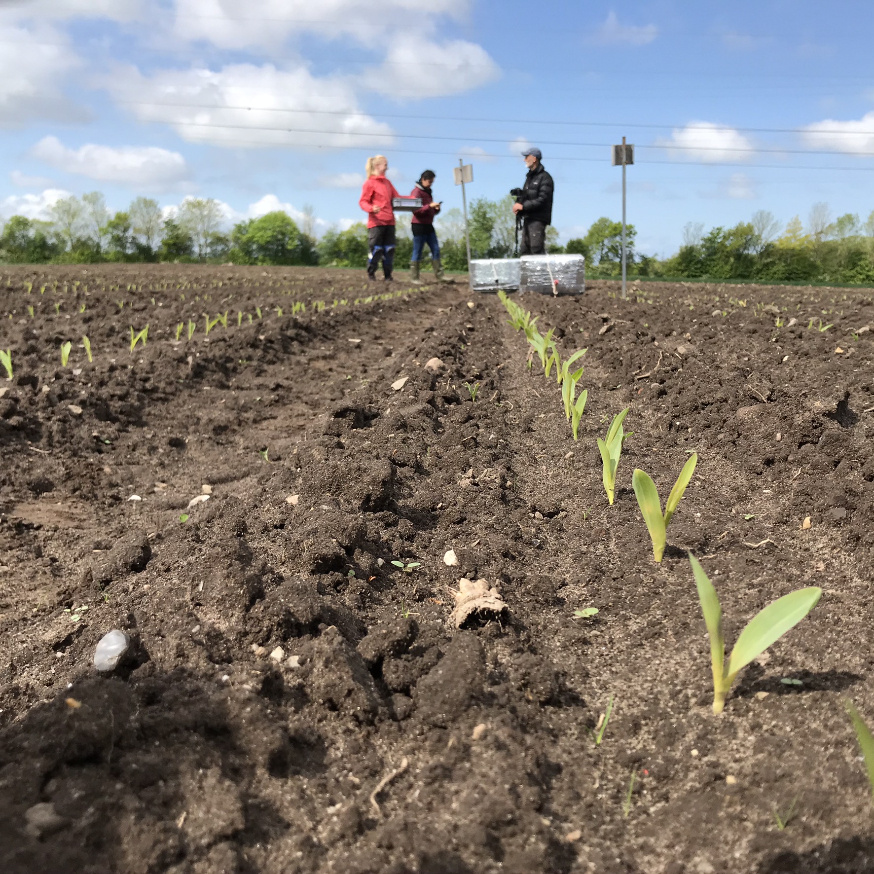 About Us Smart Field - Professional Dark Art - Ultra HD