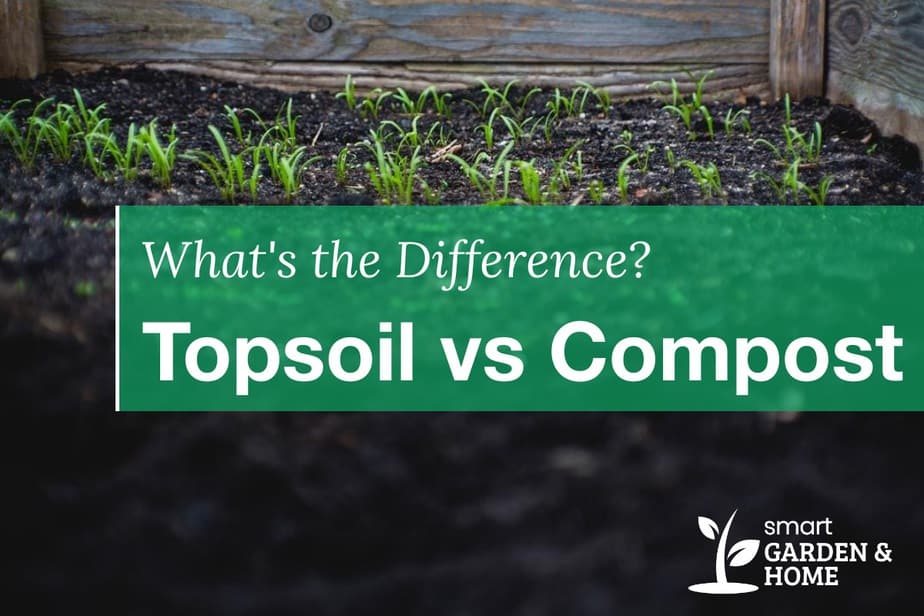 Topsoil vs compost: what's the difference?