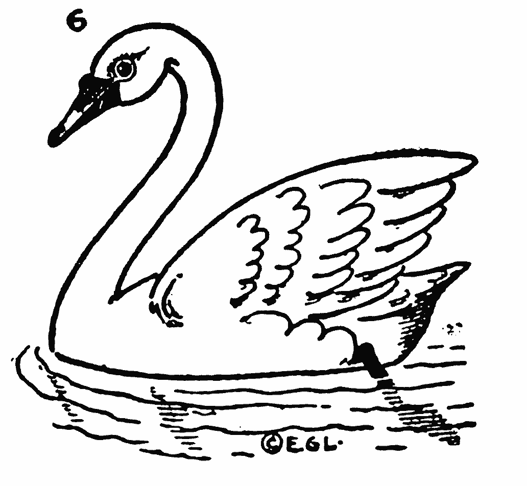 How To Draw A Swan Step By Step Drawing For Beginners Smart Kids 123