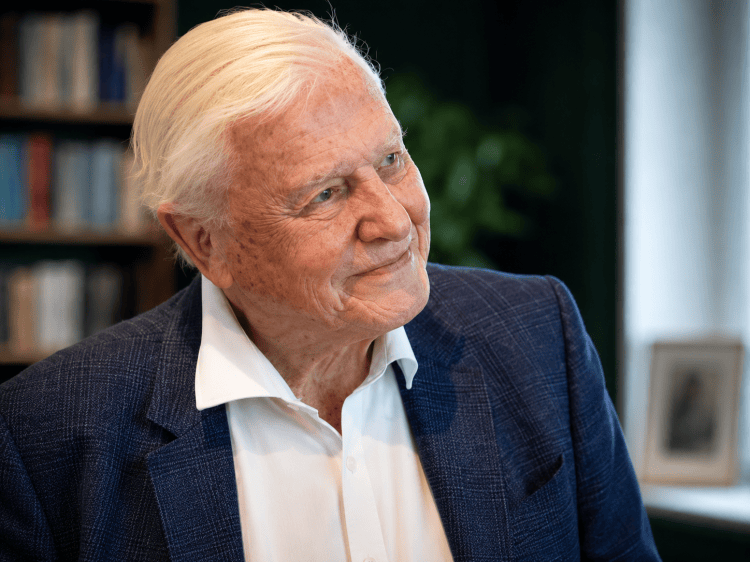 Older man in a blazer smiling in a softly lit room