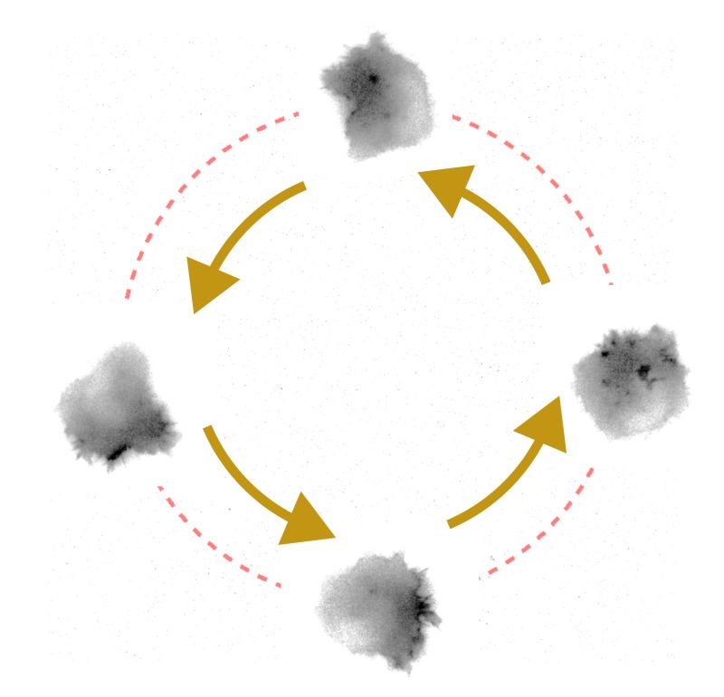 Smart Microscopy Working Group Github - Gradient Patterns - Classic High Resolution Collection