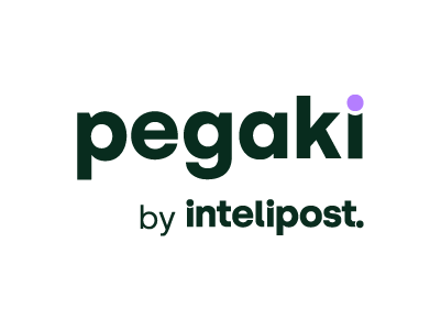 logo pegaki