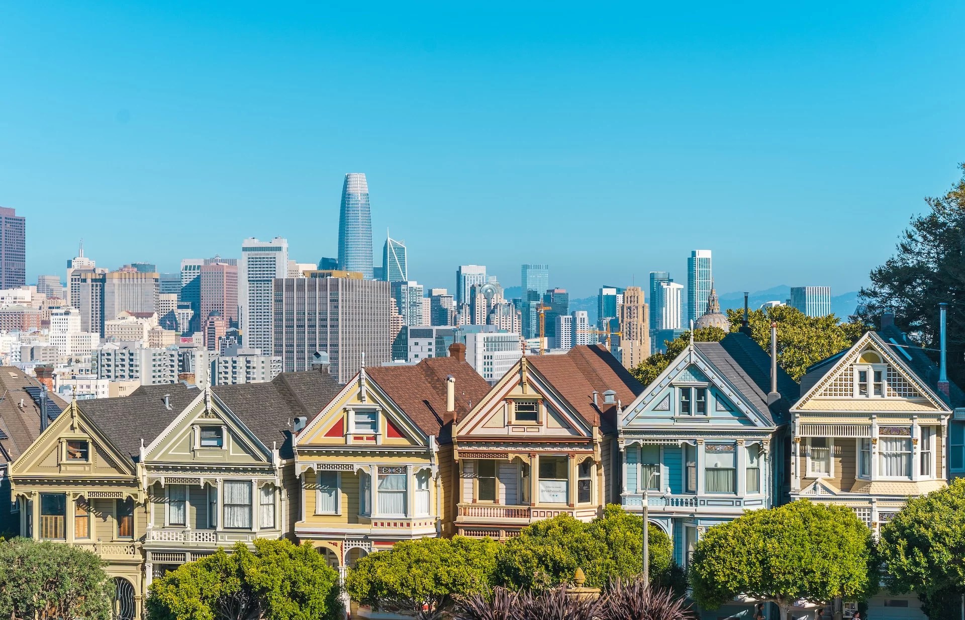 Alamo Square View