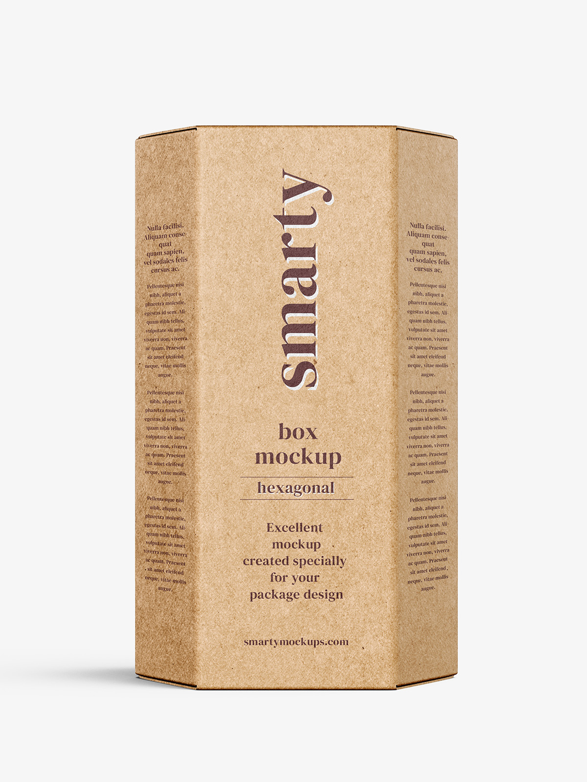 Find the best hexagon box mockup stock photos for your project. Hexagonal Box Mockup White Metallic Kraft Smarty Mockups