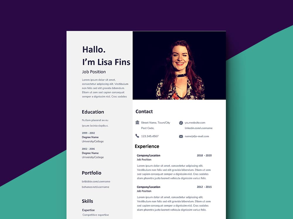 Document Analyst Resume Example