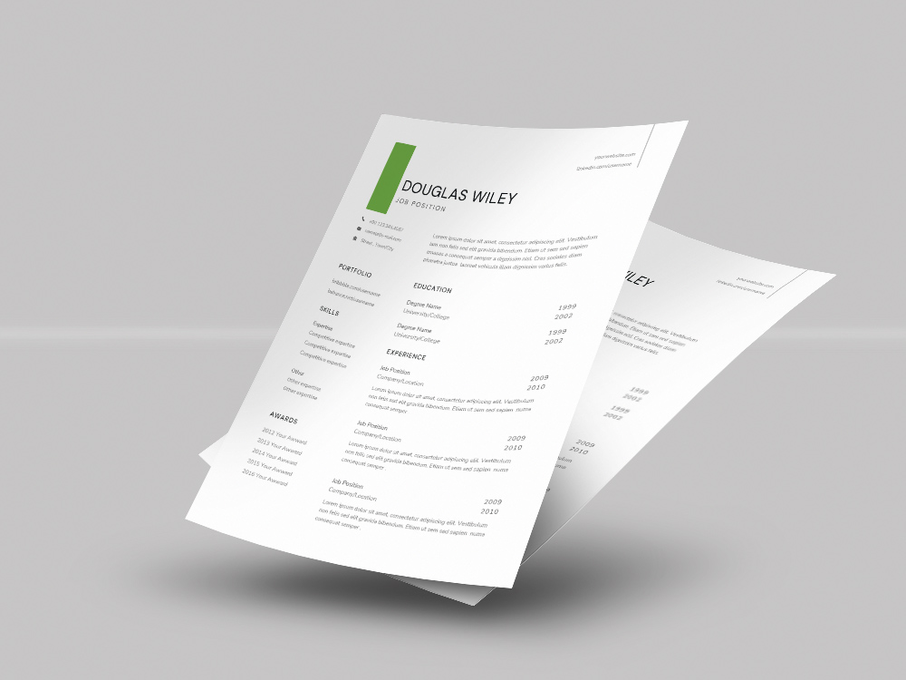 Free Assistant Program Director Resume Template with Example for Job Seeker