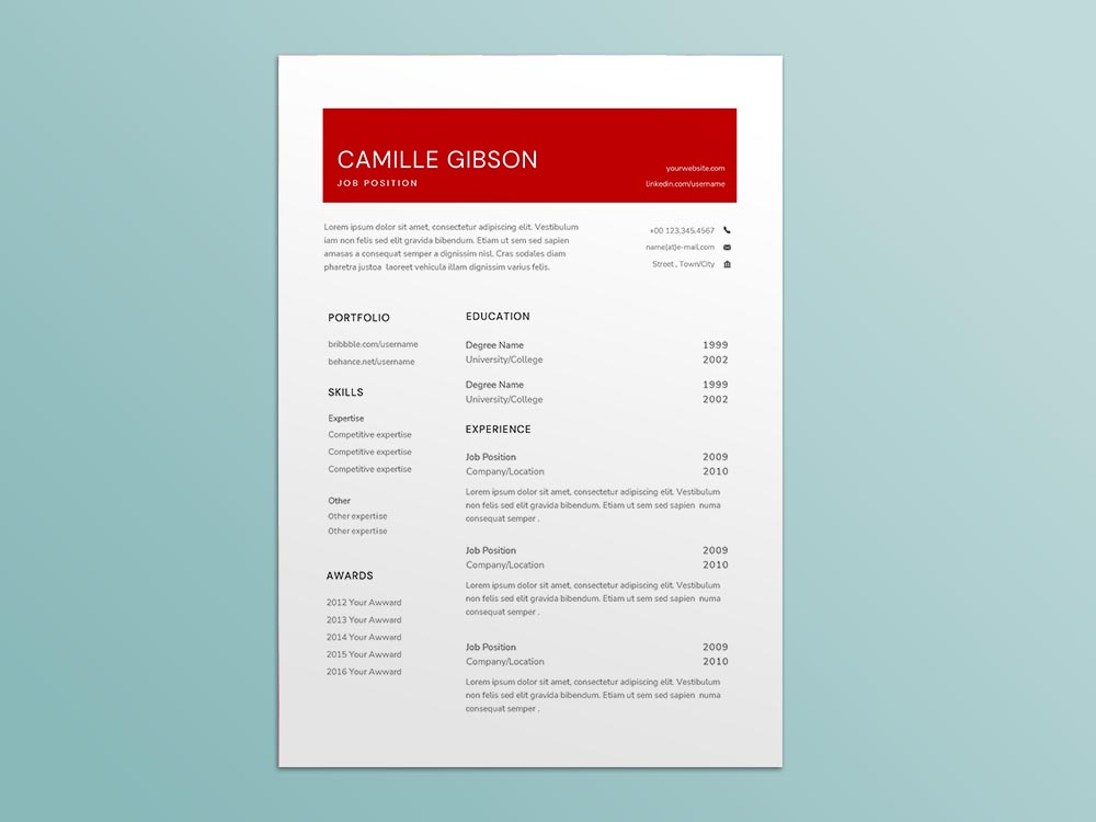 Free Personal Assistant Resume Template