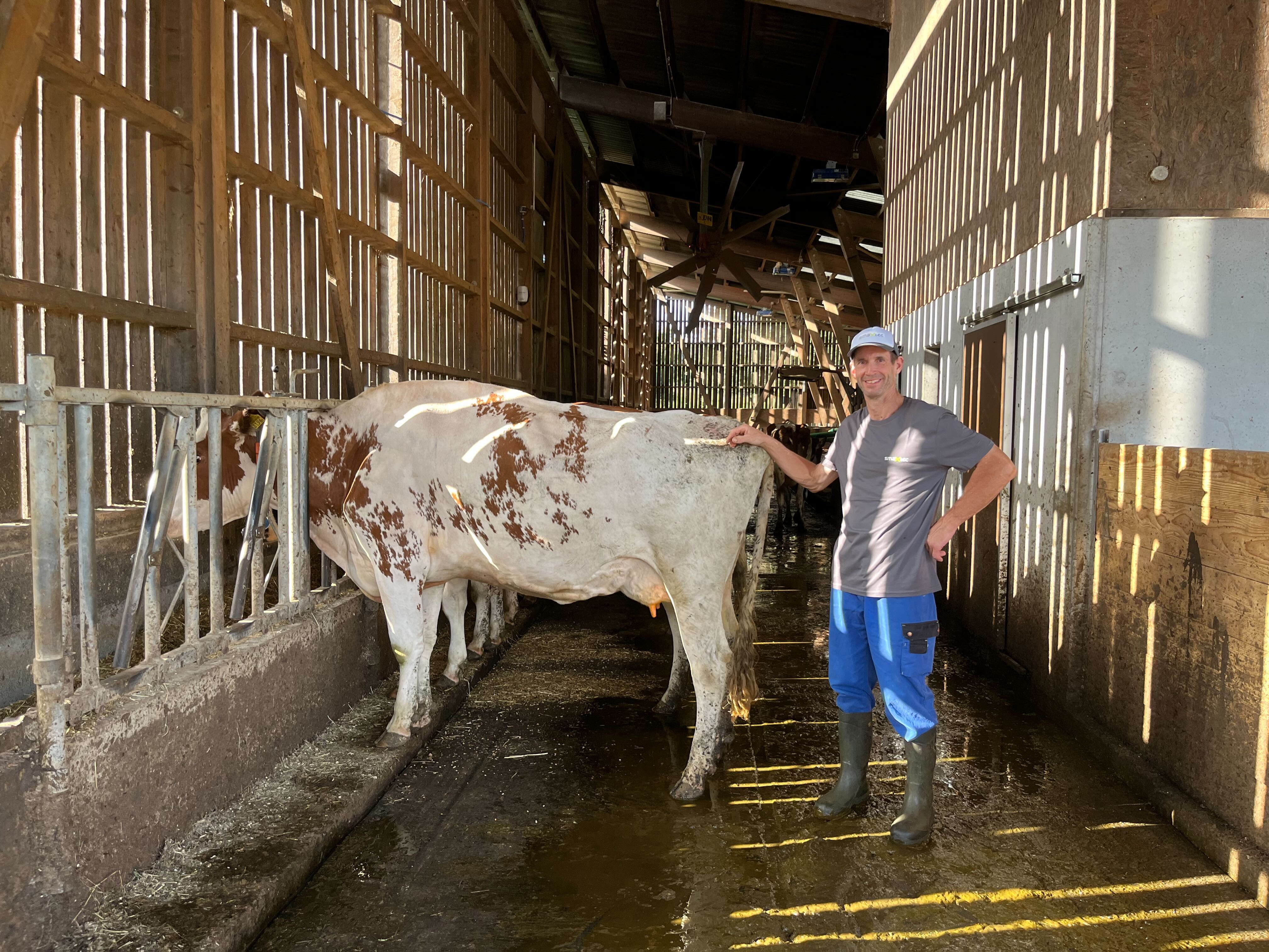 Testimonial Martin Rupp mit einer Kuh