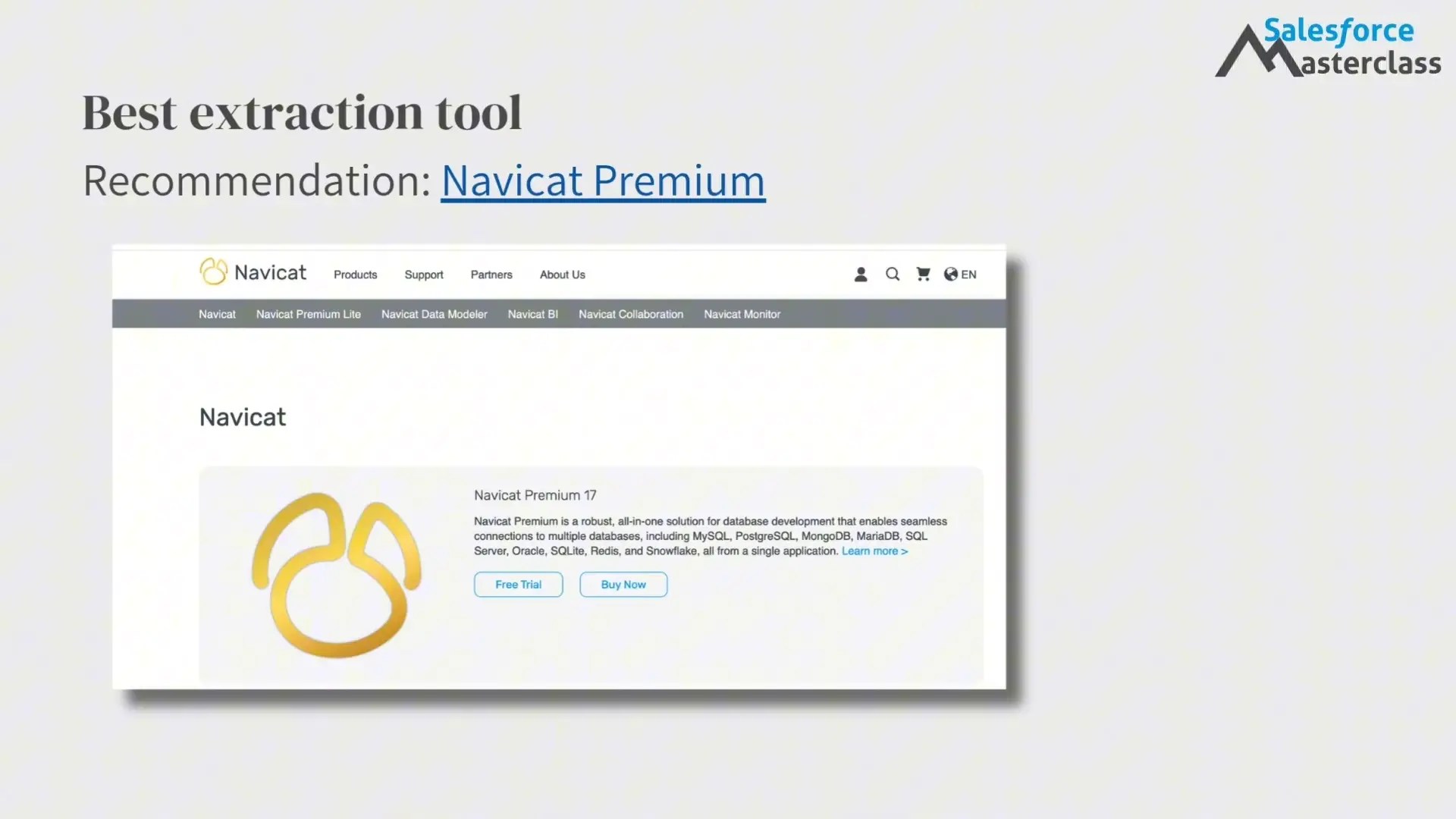 Navicat Premium sith Salesforce Masterclass
