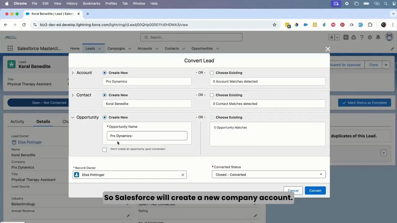 Salesforce Lead Data Migration