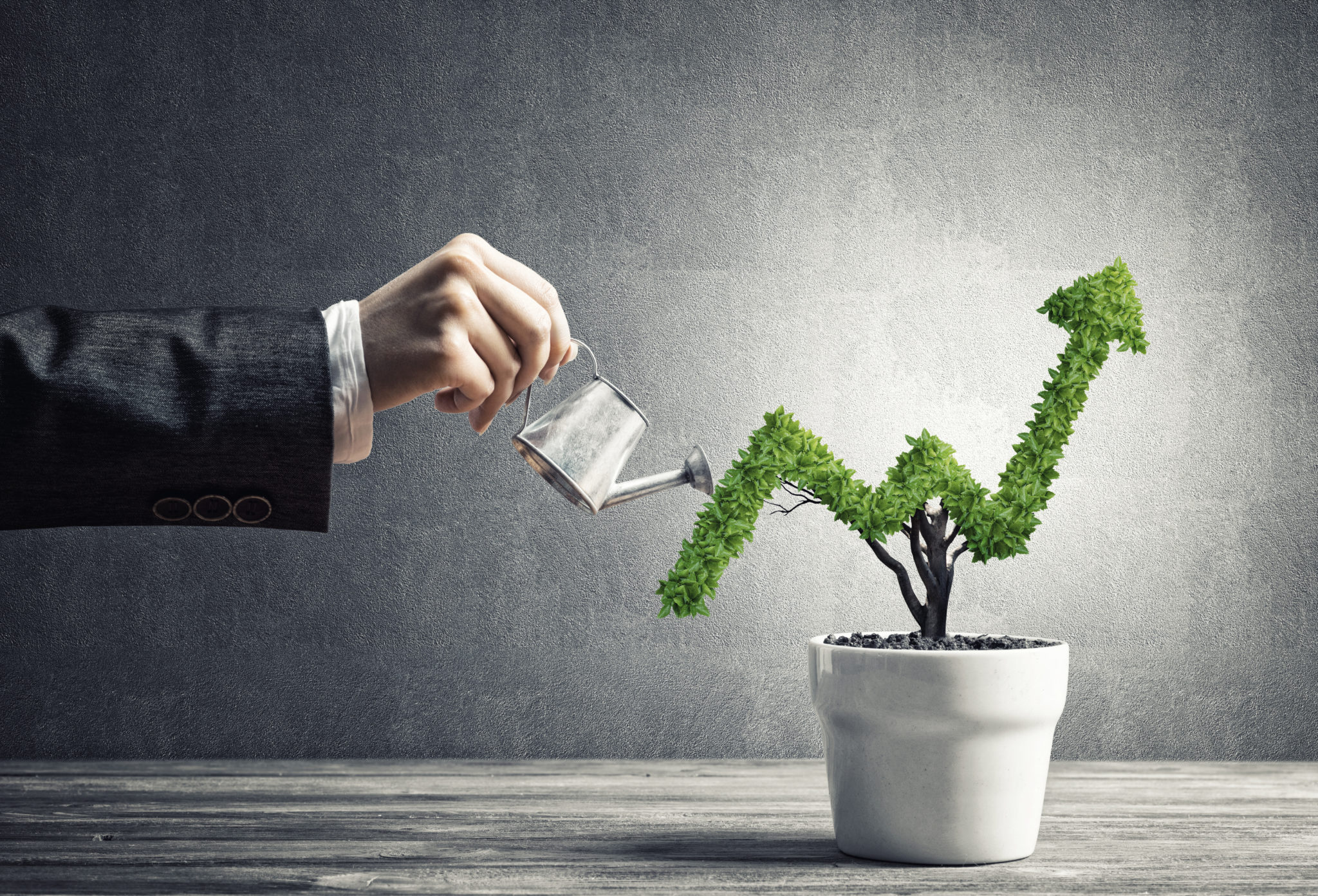 How to easily and quickly grow a wildly profitable business: 8