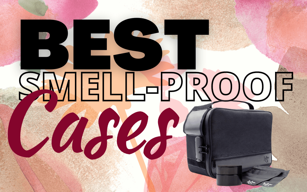 6 Best SmellProof Cases (Weed Carrying Bags) in 2021 (2023)
