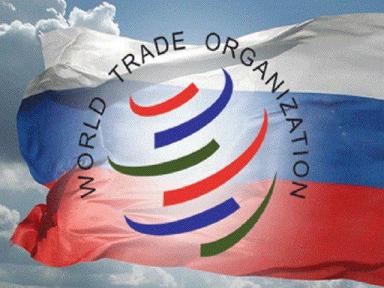 WTO-5