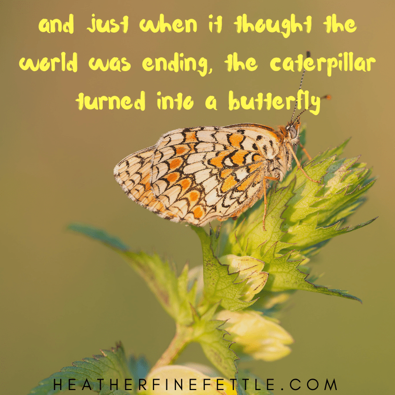 TheCaterpillarTurned