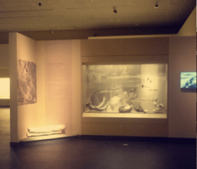 Museum Exhibition Entrance