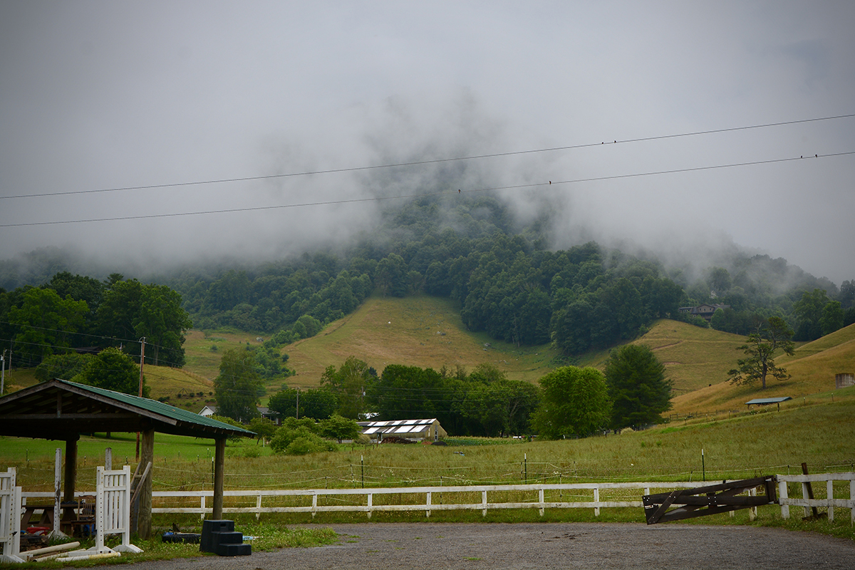 Tobacco farming in Haywood County