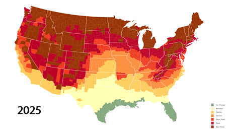 2024 Fall Foliage Map Nationwide Peak Leaf Forecast Fall Foliage Prediction Map 
