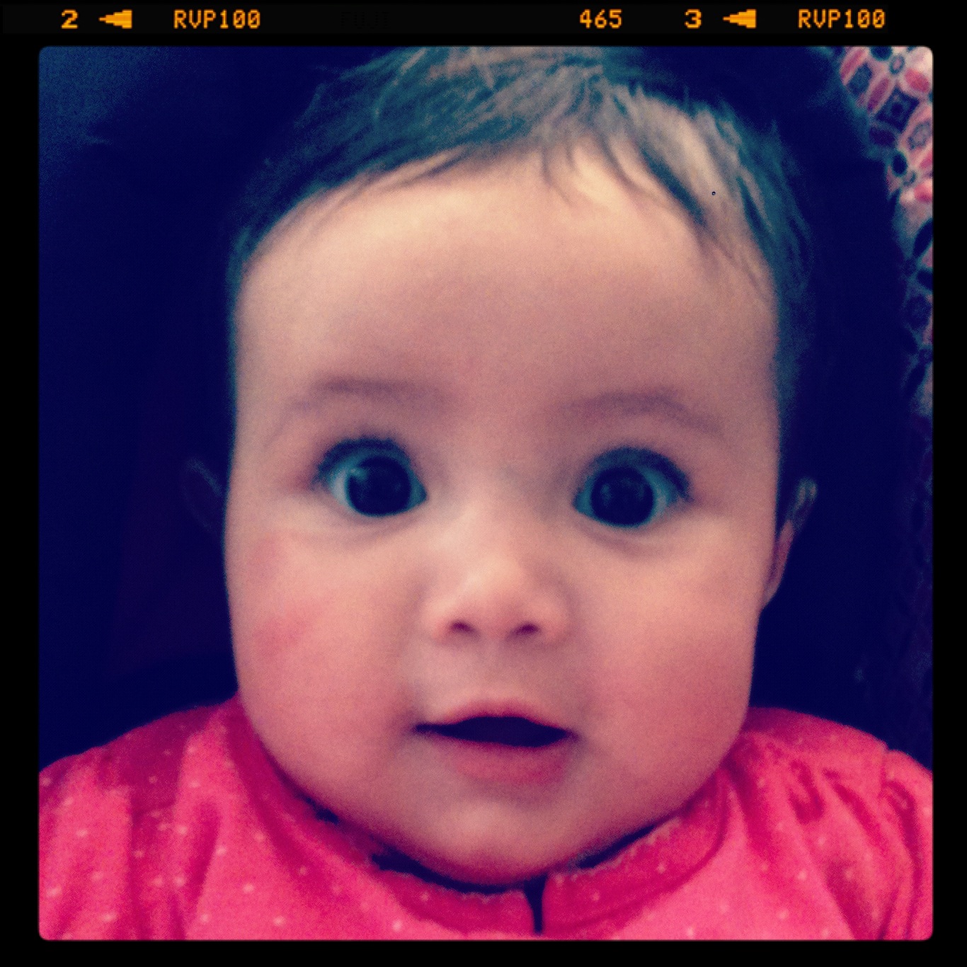 My niece and I got acquainted.