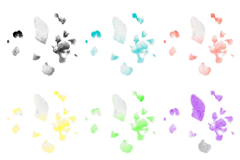 Network Visualization Hdwgcna - Space Textures - Classic Retina Collection