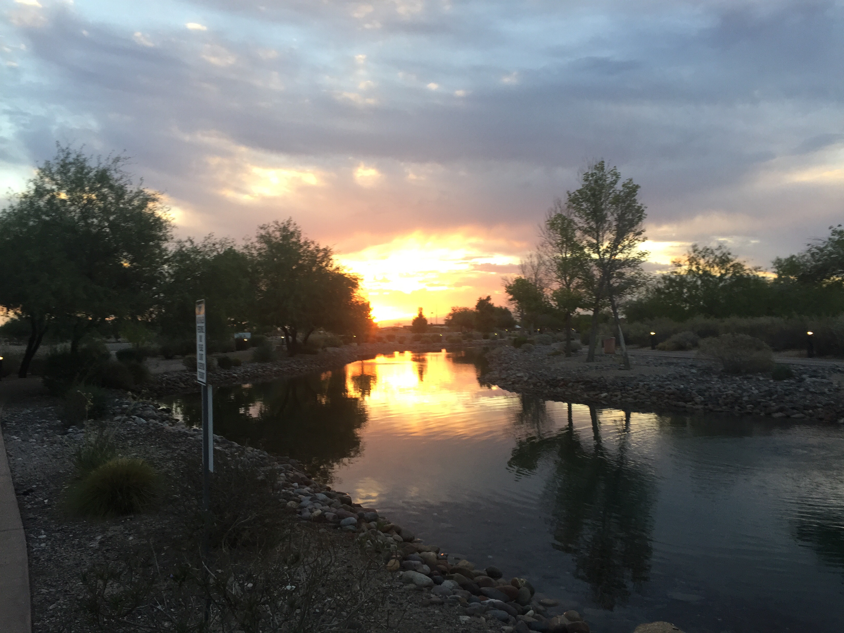Sunrise reflected in large water feature surround by desert landscaping.