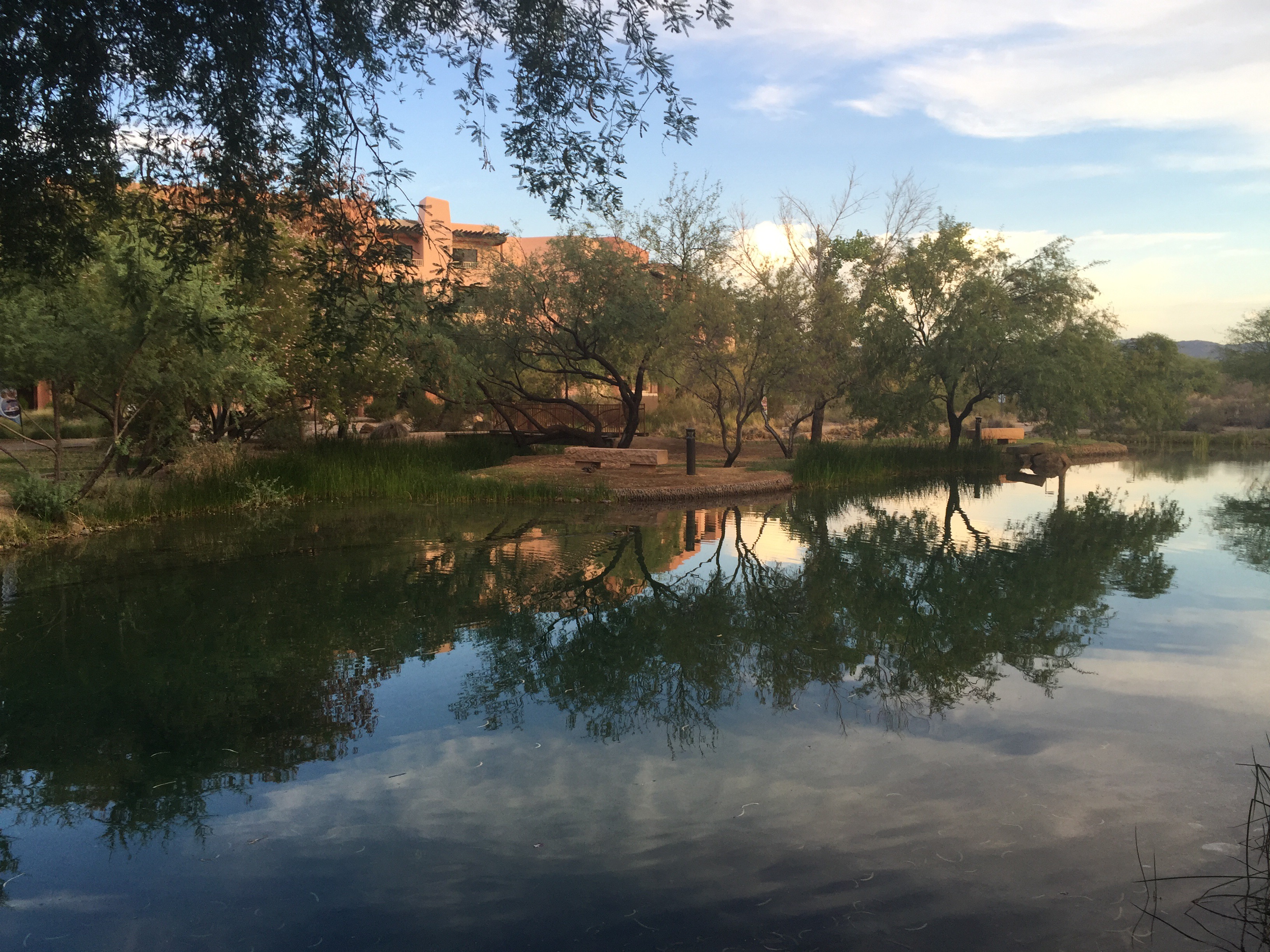 Large, natural looking water feature with trees on the far shore with southwest style building behind.