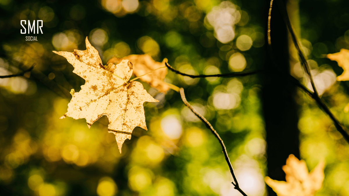 Your Customers Are Back From Holiday. Here’s How to Get Their Attention Again