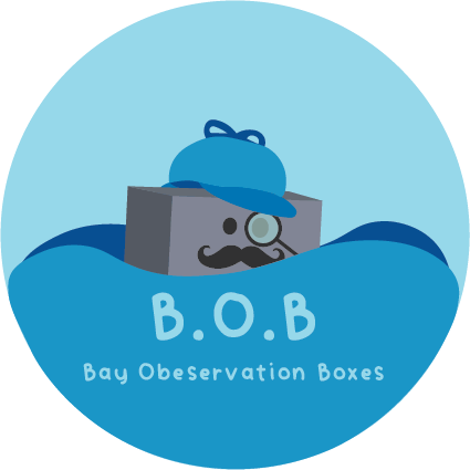 BOBs Update: Dec 2024