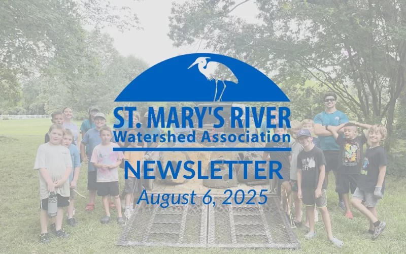 Watershed Watch: August 2025