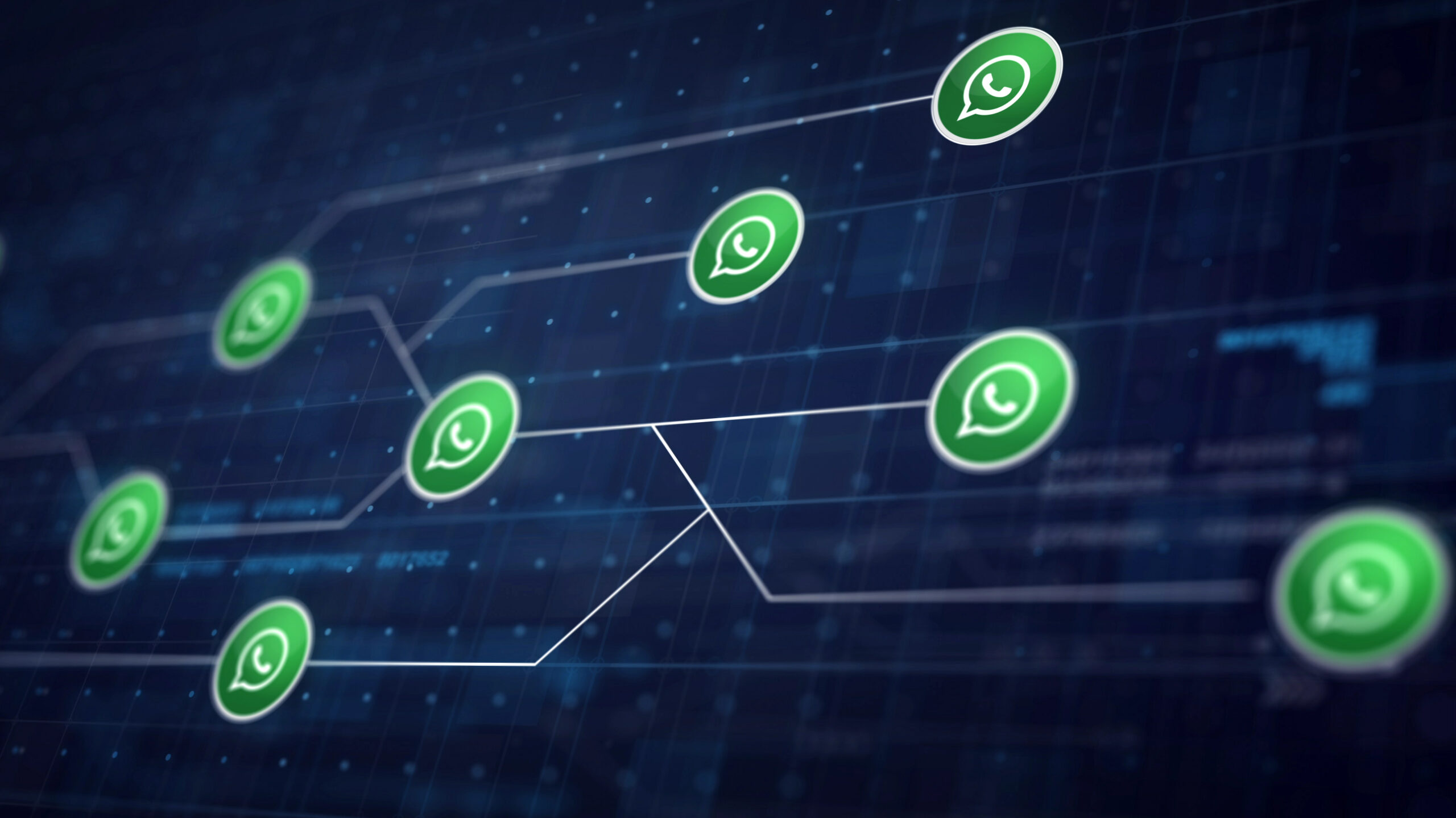 WhatsApp API