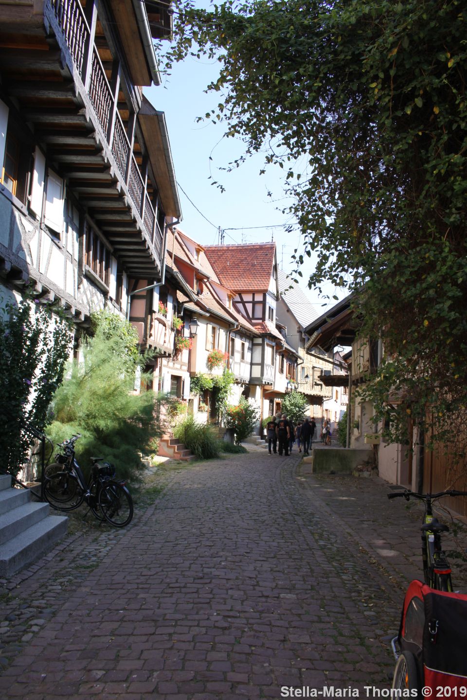 EGUISHEIM 059