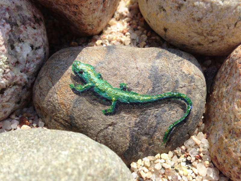 Leguan Fur Kinder Zeichnung Vektorillustrationenumriss Der Hand Gezeichnete Tutorial Padagogische Kinder Malen Spiel Stock Vektor Art Und Mehr Bilder Von Bildung Istock