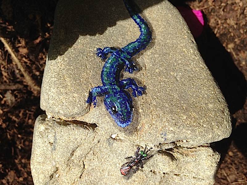 150 Malvorlagen Ausmalbilder Schlange Schlangen Echse Gecko Window Color Malen Eur 1 00 Picclick De