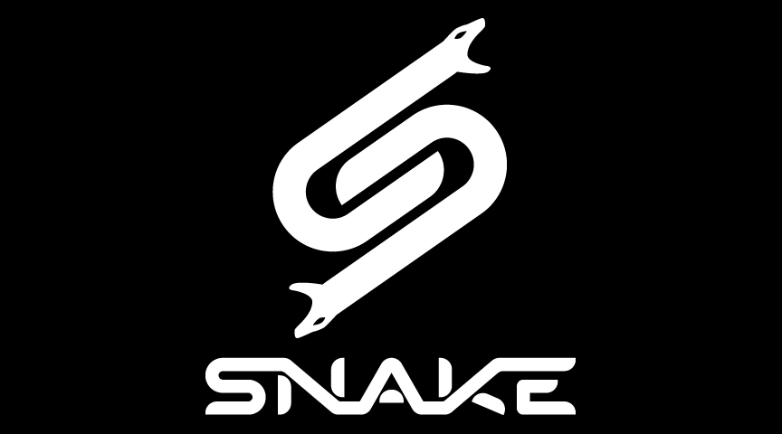 Judges for the 2013 Snake Basketball Freestyle Contest