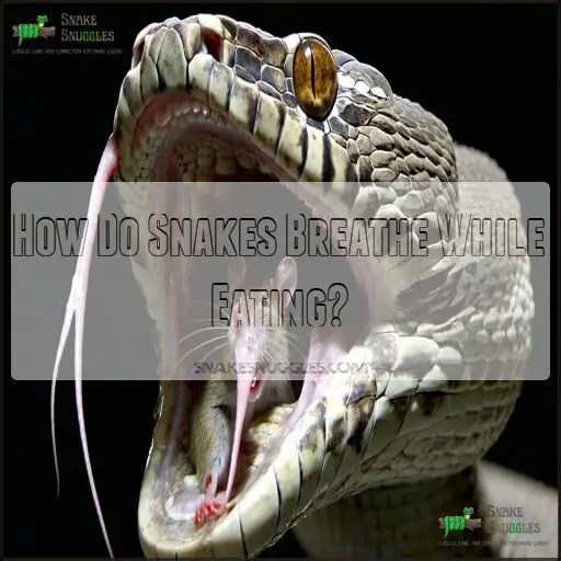 How snakes breathe: lungs, nostrils, and surprising secrets!